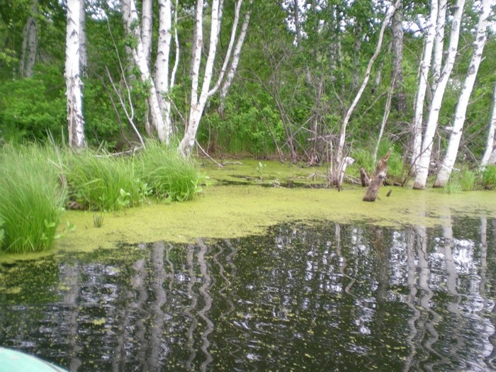 Кочегарово озеро