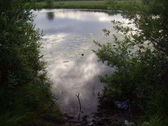озеро на Алтае 1