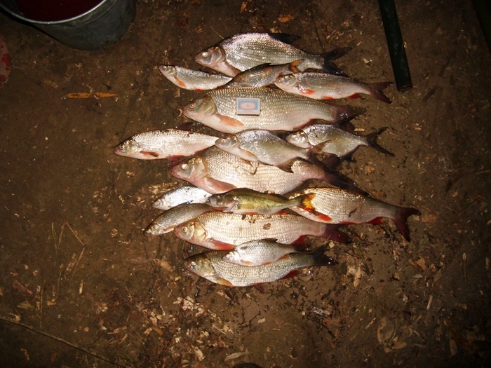Лесенка рыбака - Обь в октябре 2008 года