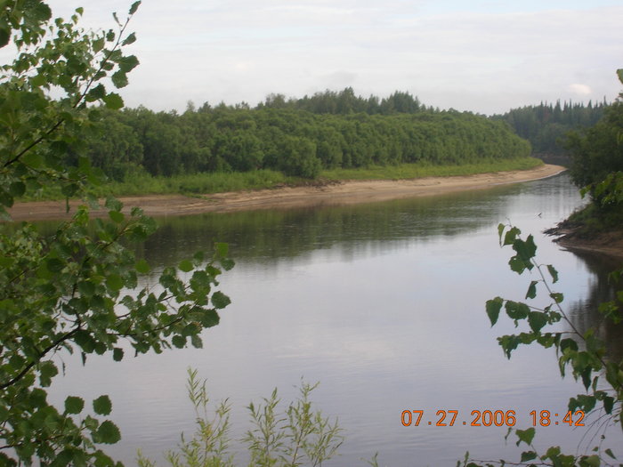 река Васюган осиновый яр