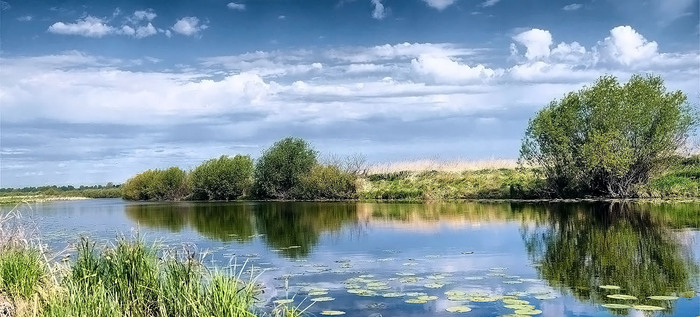 Просто озеро , каких целое море в Новосибирской области.