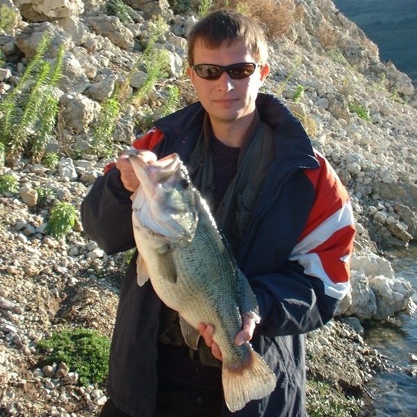 Bigmouth Bass, Cyprus 2008