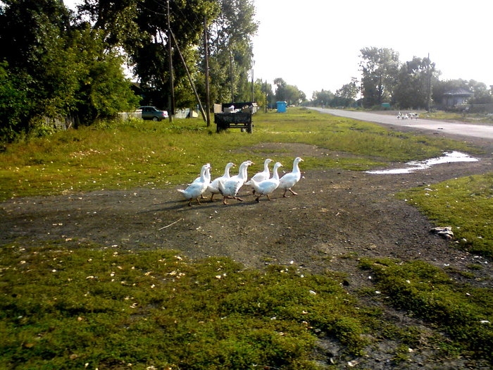 Погода село чулым