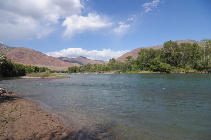 Киргизия, форелевая река Кокомерен