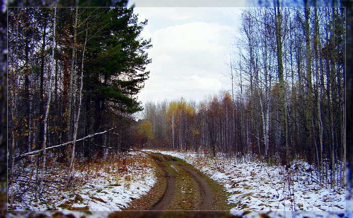 Первый снег.