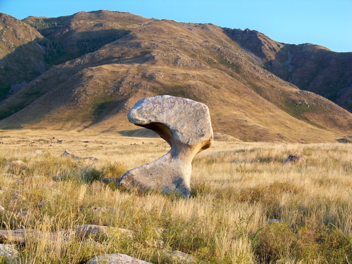 По дороге в пустыню попался причудливый камень (Вост Казахстан)