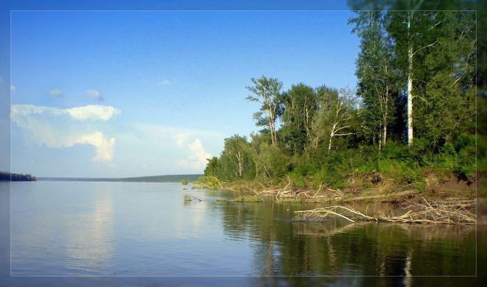 р.Обь,остров Басенок ниже д.Дубровино