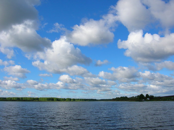 Летят кудрявые.