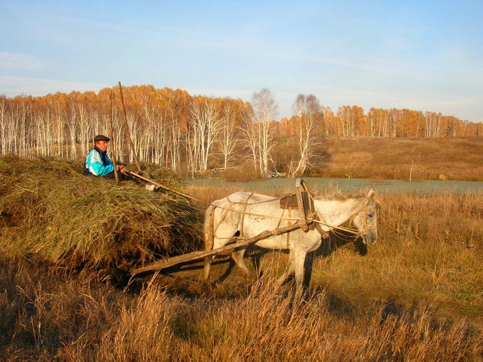 Долго я ж его караулила.