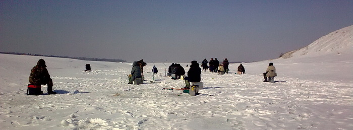 В поисках счуки