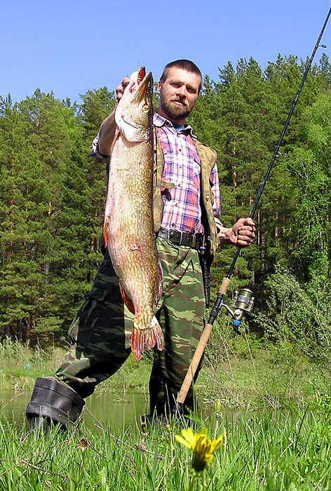 9.5кг.Спинербейт.В желудке свежий леш 600гр.