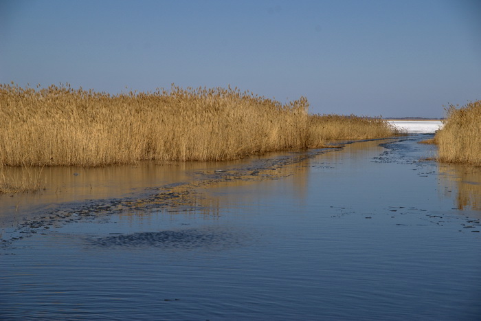 Чаны. Апрель 2009. За карасем.