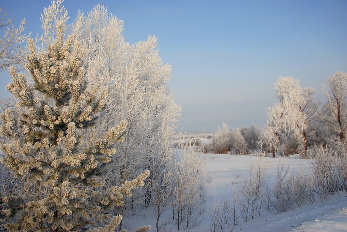 Первые лучи