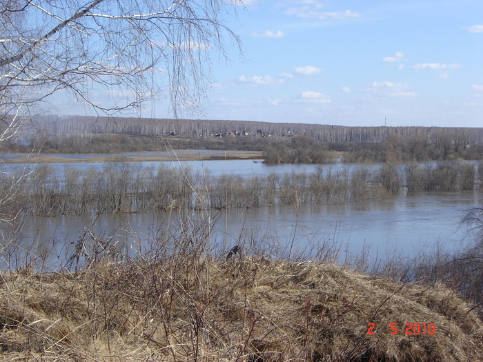 иня разлилась