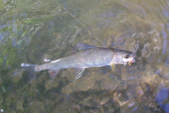 попытка снять прямо в воде