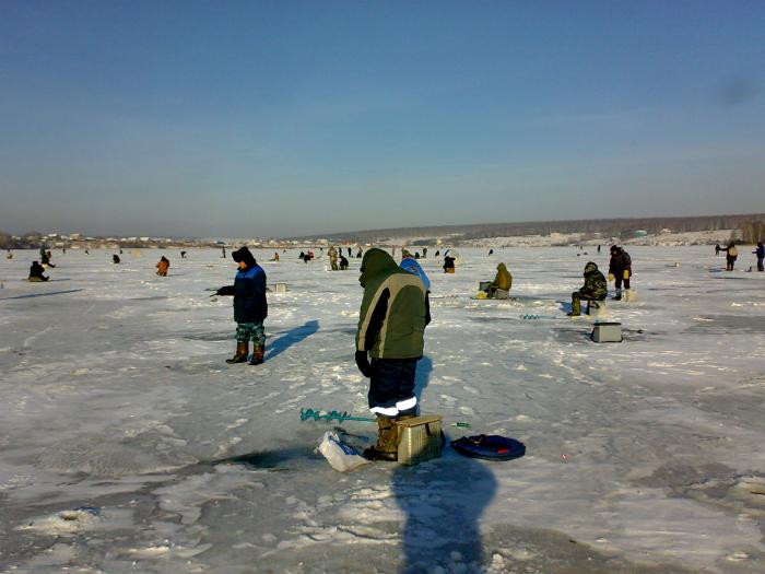 Тихая зона,беловское водохранилище. Лёд 10-15 см