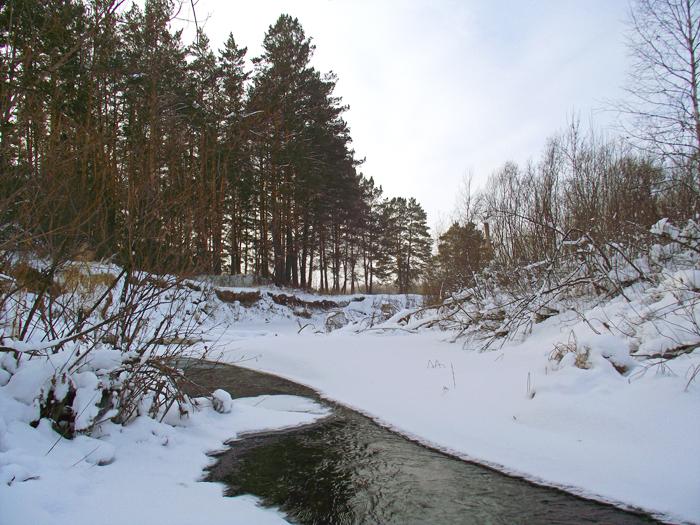 Ора ещё не вся застыла.