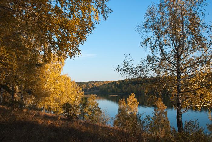 Осенний Коен.