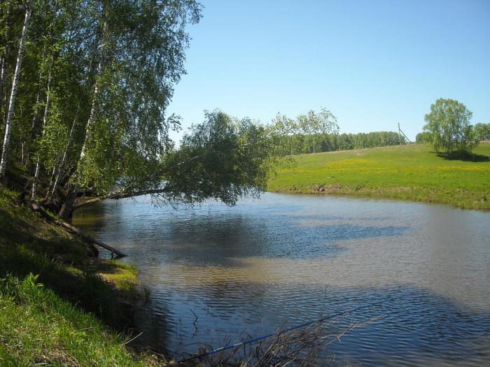 Река в Бочкарях.