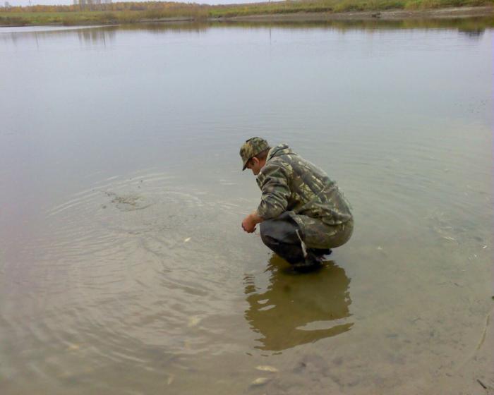 А мы не только ловим,но и запускаем.