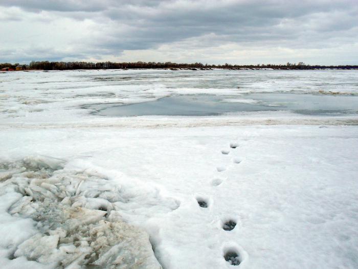 Весна 2011. Молчаново, Обь