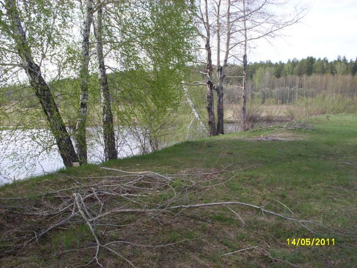 Волшебная полянка.