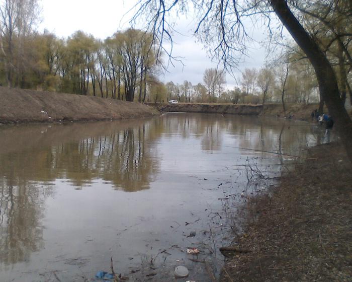 Сегодня, устье Тулы.