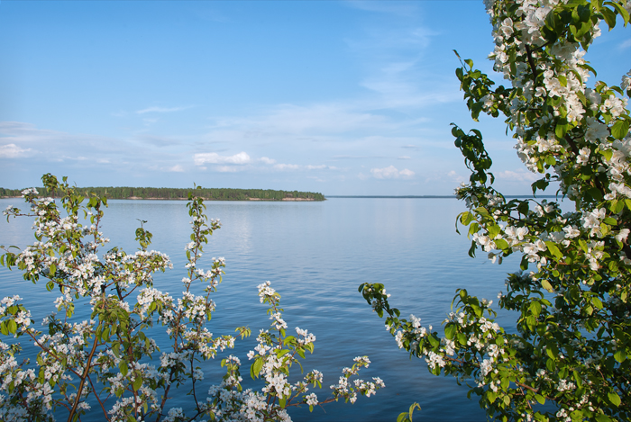 Обское "море".