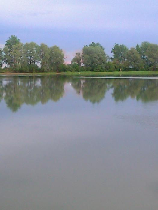 озеро в д. Чистополье