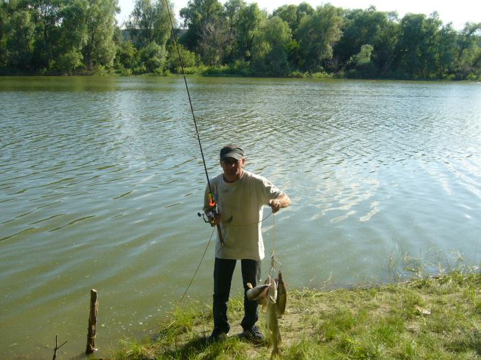 рыбалка в ставропольском крае на реке кубань