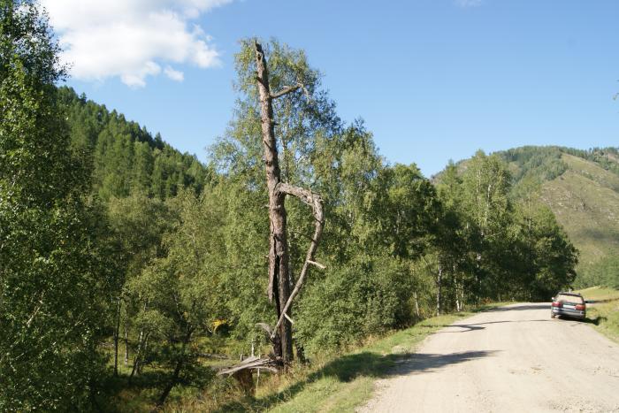 Жизнь такая.