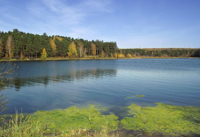 Остатки летнего цветения воды )).