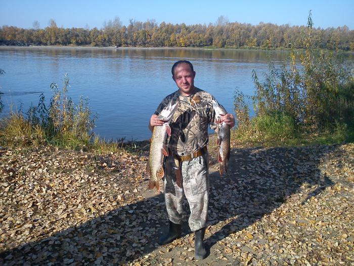 Погода каргат новосибирская область на 10 дней. Рыбалка на Чулыме. Рыбалка на реке Чулым Новосибирская область 2020. Нижний Чулым. Река Чулым Асино.
