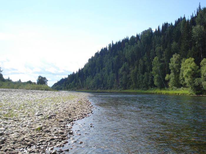 Река терсь кемеровская область