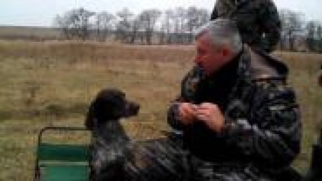 Настоящая охотничья собака -Юмор Настоящая охотничья собака -Юмор