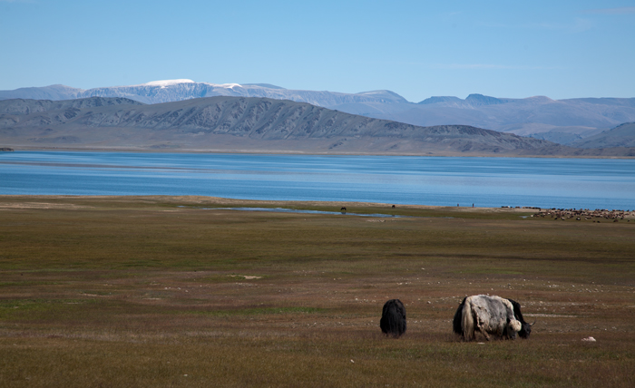 Монголия-2011, пейзажи