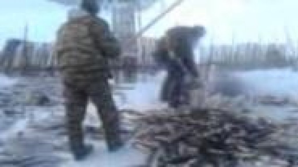 Рыбодобыча Рыбодобыча