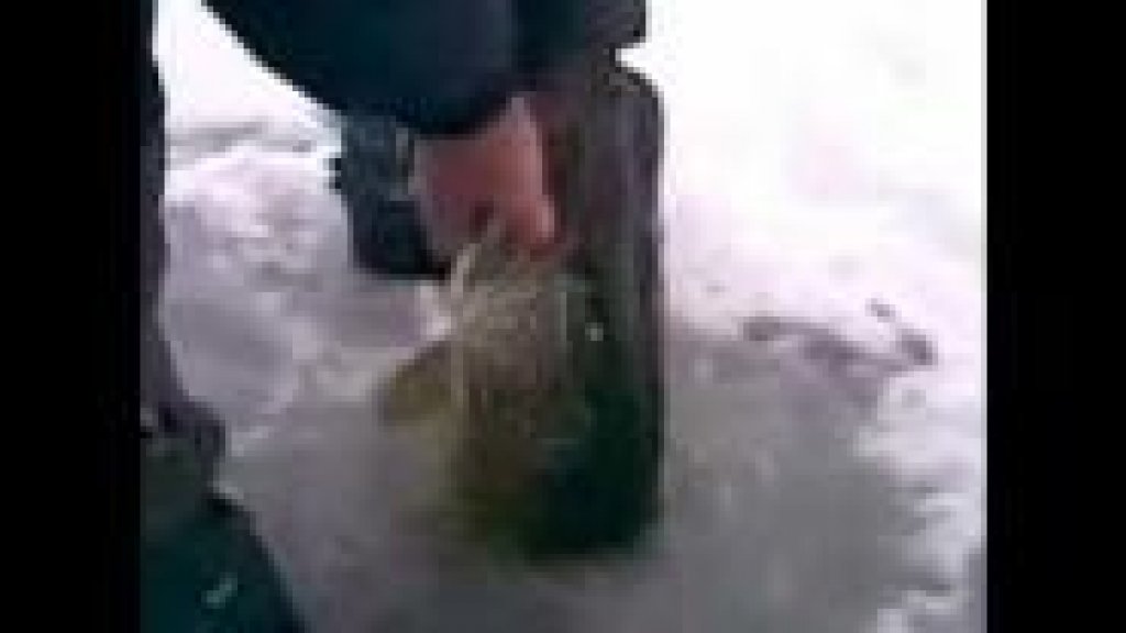 Зимняя рыбалка по русски
