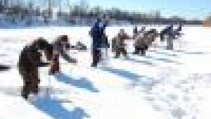 Всероссийский чемпионат по ловле на мормышку со льда