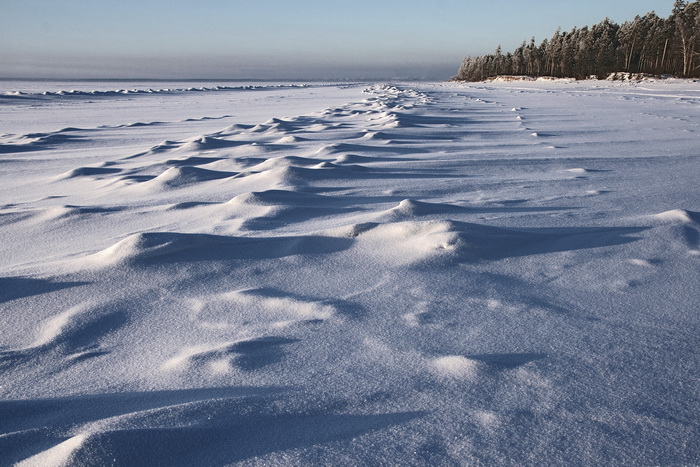 Бердск