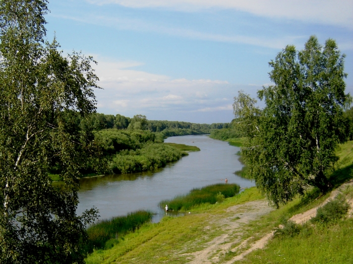 6 иня. Село Репьево река Иня. Река Иня Тогучин. Река Иня Новосибирской области. Репьево Новосибирская область речка Иня мост.