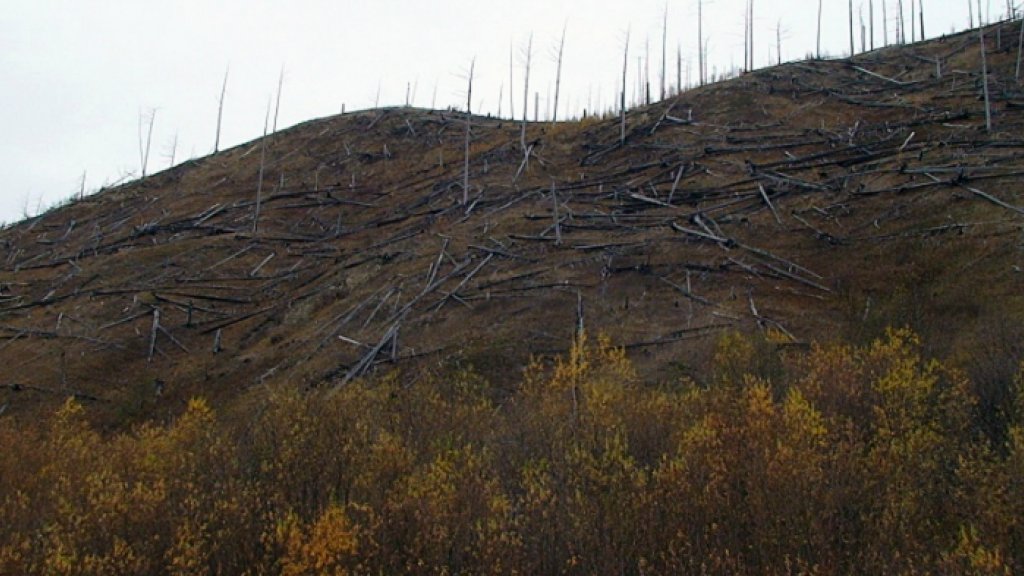 По речке таежной.   Продолжение...