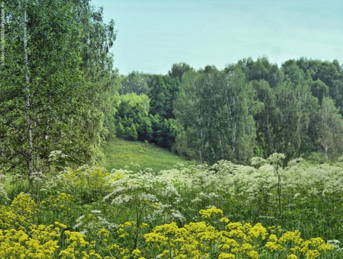 Жаркий полдень