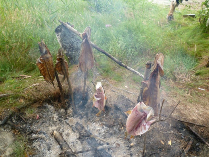 производство юколы