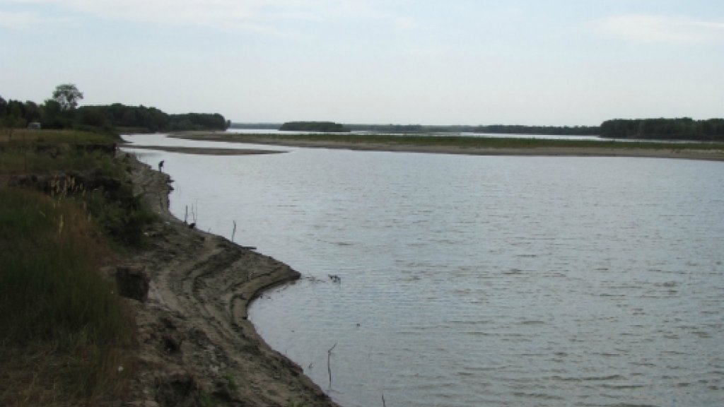 В поисках Клыкастого В поисках Клыкастого
