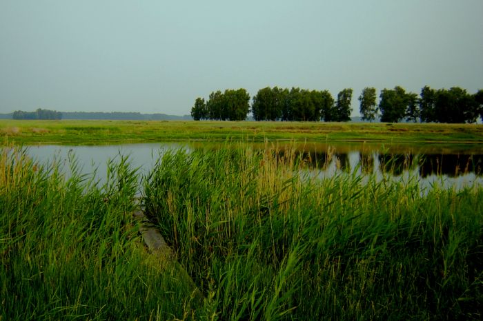 Озеро Кривое. Мосток