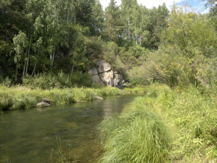 Река Алчедат в Кемеровской области