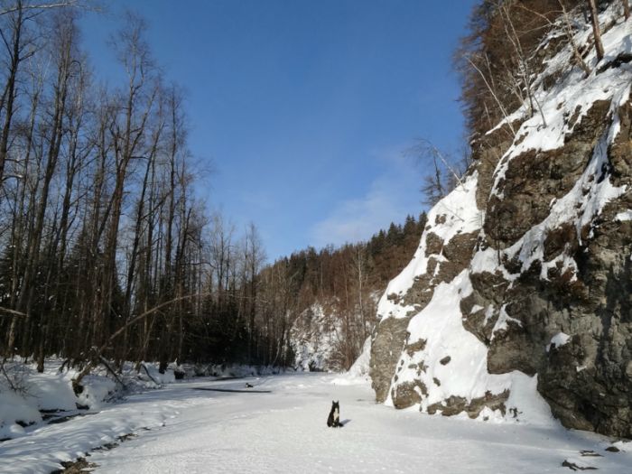 Начало зимы на Уде (один из притоков)