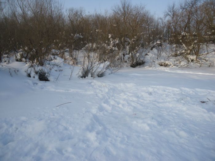 Река Буготак,"Тихая заводь" зимой.