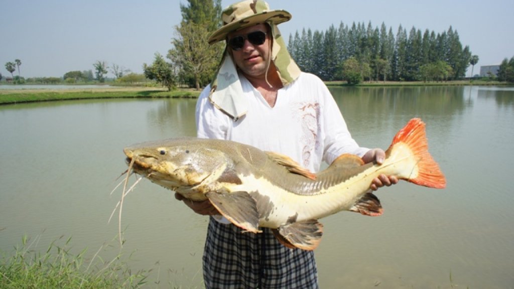В Таиланд на рыбалку